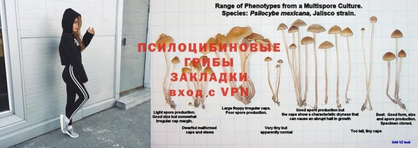 ешки Куйбышев