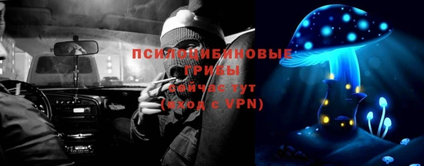 ешки Куйбышев