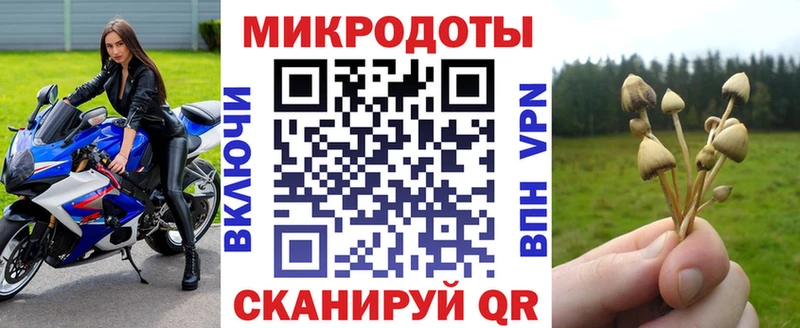 Галлюциногенные грибы Psilocybine cubensis  Янаул 
