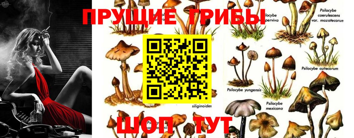 Галлюциногенные грибы Magic Shrooms Янаул